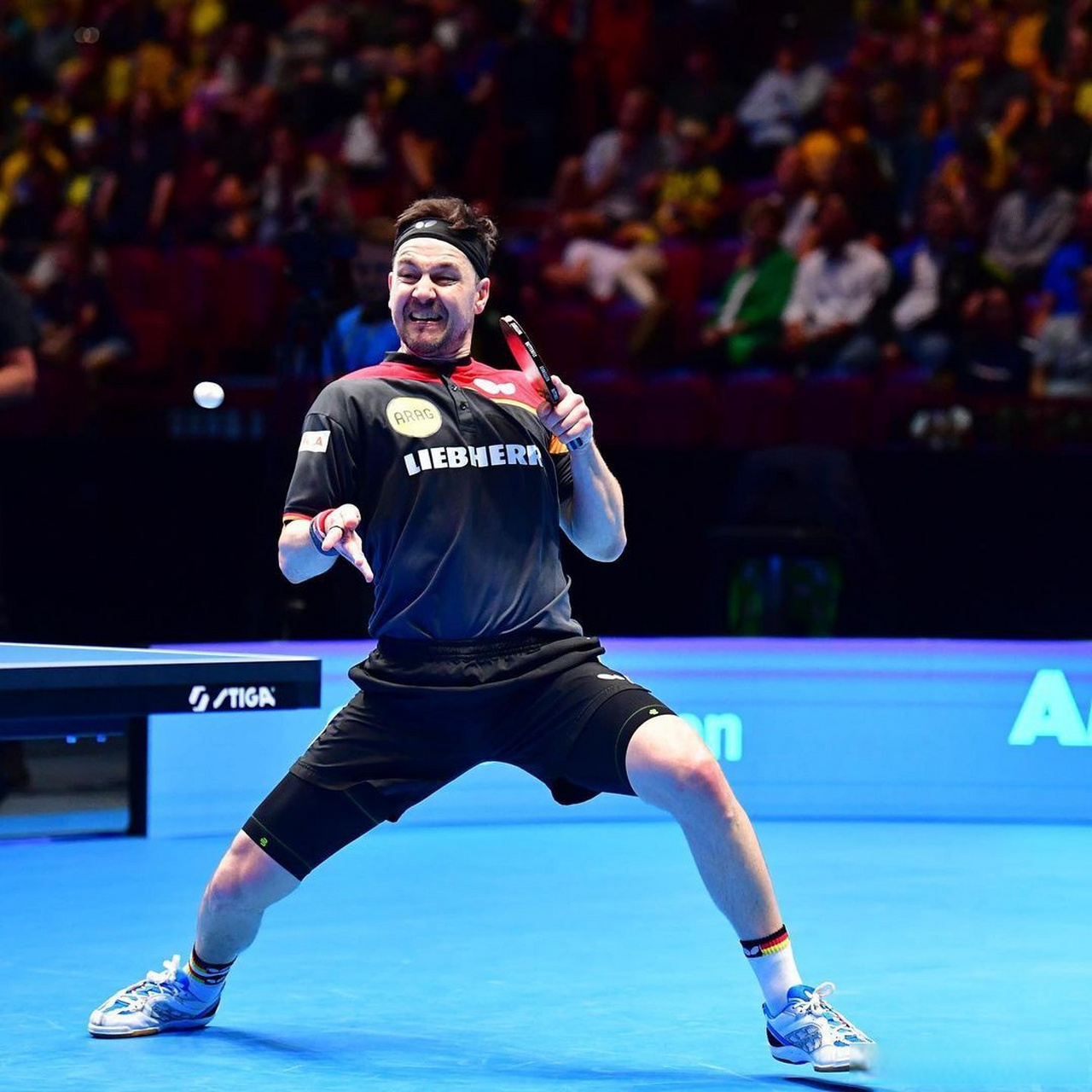 PG电子官方-日本乒乓球队鏖战比利时乒乓球队，波尔惊艳世界的简单介绍