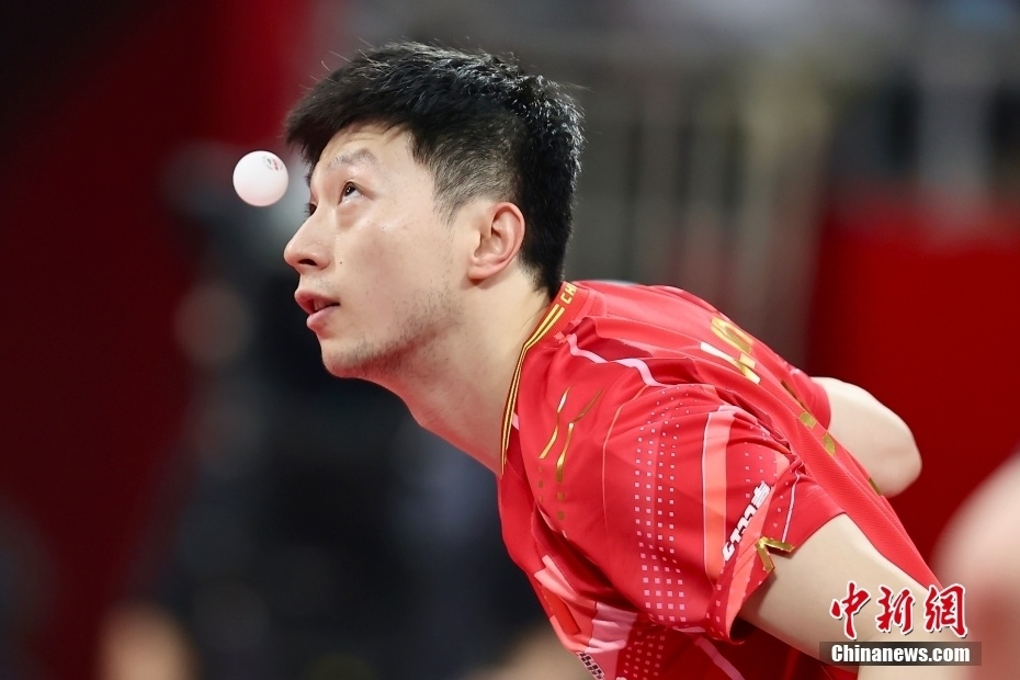 关于中国队碾压德国队，马龙状态火热的信息
