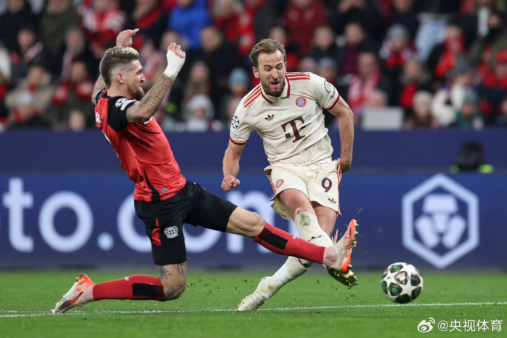 荷兰险胜瑞士，凯恩扛起全队