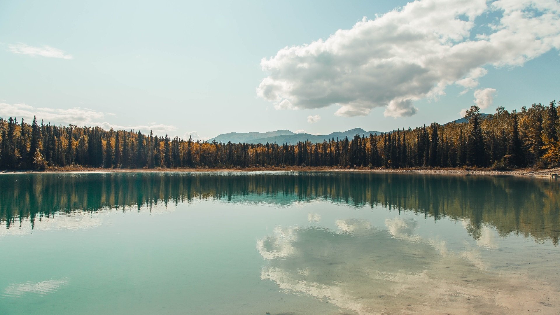 PG平台-拉文一箭穿心，辽宁队对阵骑士，胜负手如何炼成？